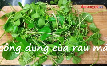 công dụng của rau má, sinh tố rau má