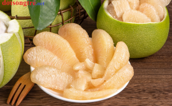 Bưởi mang đến nhiều lợi ích sức khỏe như cung cấp vitamin C, kiểm soát đường huyết, và giảm nguy cơ lão hóa và các bệnh tật khác. Bưởi có thể giúp giảm nguy cơ mắc bệnh tim mạch và tiểu đường, cũng như hỗ trợ tăng cường hệ miễn dịch.