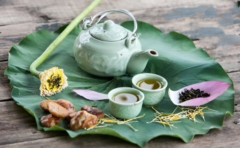 Nhìn chung, lá sen mang lại nhiều lợi ích cho sức khỏe nhưng cũng cần được sử dụng đúng cách và có sự tư vấn từ chuyên gia. Việc tự ý sử dụng lá sen có thể gây hại nếu không biết rõ về tình trạng sức khỏe cá nhân. Đều quan trọng nhất vẫn là lắng nghe cơ thể và tham khảo ý kiến từ bác sĩ trước khi sử dụng bất kỳ loại thuốc hoặc thảo dược nào, đặc biệt là đối với những nhóm đối tượng đặc biệt như phụ nữ mang thai, đang cho con bú và những người có tình trạng sức khỏe đặc biệt.