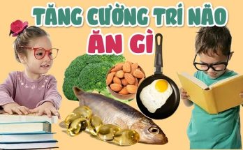 Những năm tháng đầu đời đóng vai trò quan trọng trong quá trình phát triển của trẻ. Kết hợp các loại thực phẩm phù hợp vào chế độ ăn uống có thể tăng cường chức năng nhận thức, trí nhớ, sự tập trung.