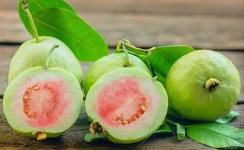 Ổi có tác dụng tốt đối với bệnh huyết áp cao, giảm nguy cơ bệnh tim, chống đông máu…Các chất dinh dưỡng có trong ổi như vitamin C, carotenoids, kali... tốt cho hệ tiêu hóa, rất có lợi cho điều trị viêm dạ dày và ruột.