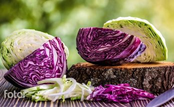 Bắp cải không dùng cho người tạng hàn, nếu muốn dùng phải phối hợp với gừng tươi. Cải bắp chứa một hàm lượng nhỏ Goitrin là chất có tác dụng chống oxy hóa nhưng chính nó lại có thể gây bướu cổ. Vì vậy, người bị rối loạn tuyến giáp hoặc bướu cổ không ăn bắp cải vì sẽ làm tuyến giáp hoặc bướu cổ phù to ra. Nếu cần chỉ ăn một lượng vừa phải, trước khi ăn nên cắt từng lá, ngâm rửa rồi thái nhỏ, để 10 - 15 phút rồi mới chế biến, khi ấy Goitrin sẽ bị phân hủy hết. Những người suy thận nặng, phải chạy thận nhân tạo cũng không dùng bắp cải. Người táo bón, tiểu ít thì không ăn bắp cải sống hoặc dưa bắp cải muối mà phải nấu chín.