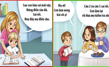 những phương pháp dạy con